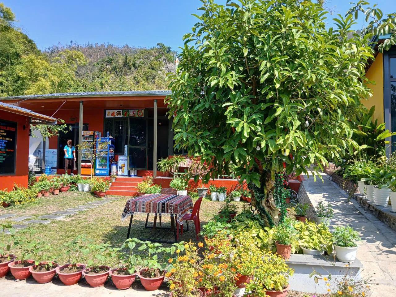 Catba Papillon Garden Bungalows & Resort Hien Hao Exterior photo